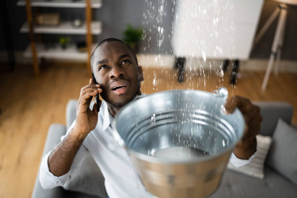 Best Mold removal after water damage  in Allardt, TN