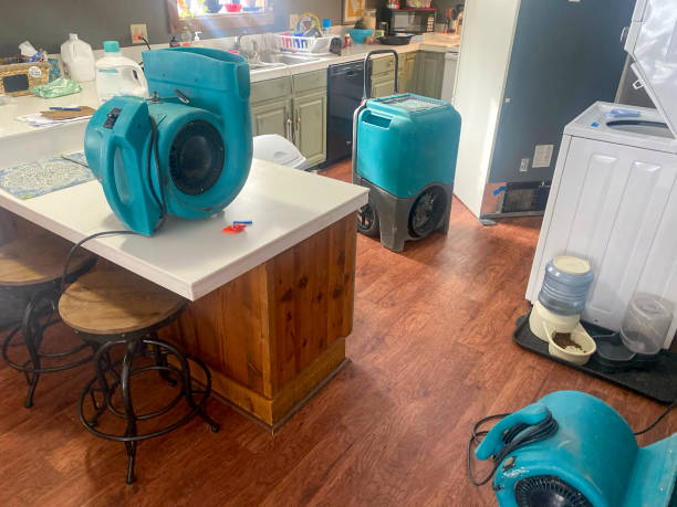 Best Water damage restoration services  in Allardt, TN