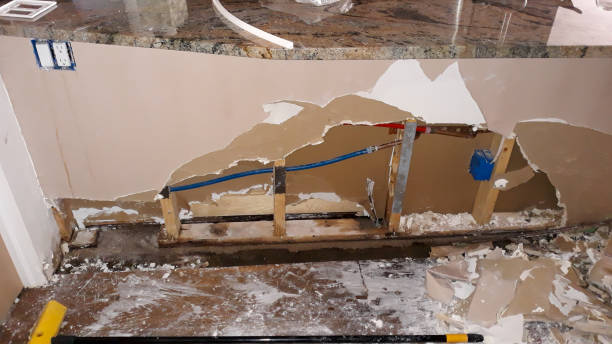 Best Water damage cleanup near me  in Allardt, TN
