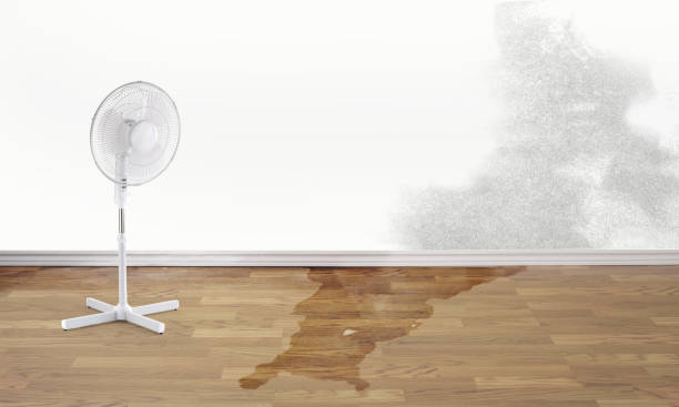 Best Residential water damage restoration  in Allardt, TN