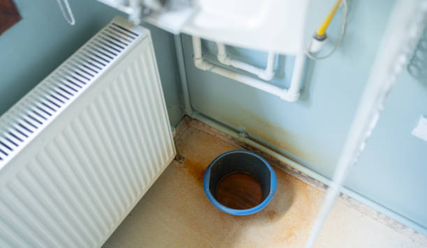 Best Flood restoration services  in Allardt, TN