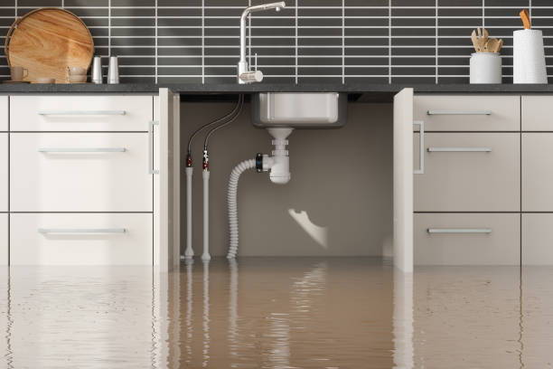 Best 24-hour water damage restoration  in Allardt, TN