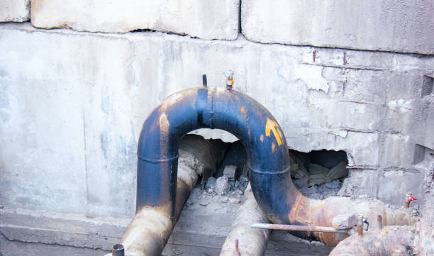 Best Local water damage restoration  in Allardt, TN