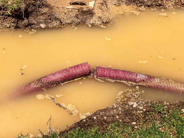 Best Water damage restoration near me  in Allardt, TN